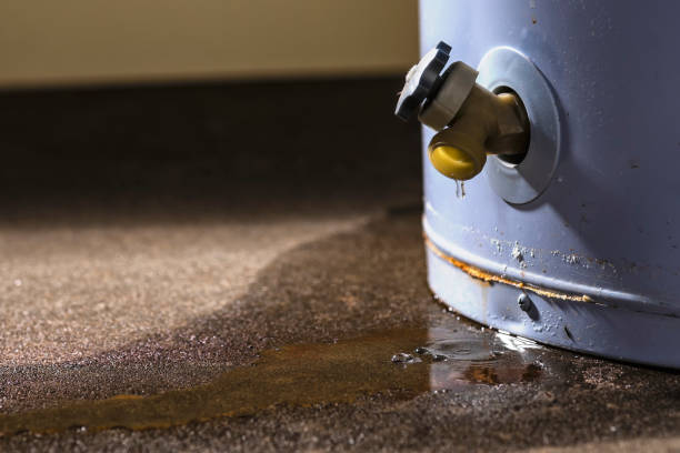 Trusted Silver City, NM Water damage restoration Experts